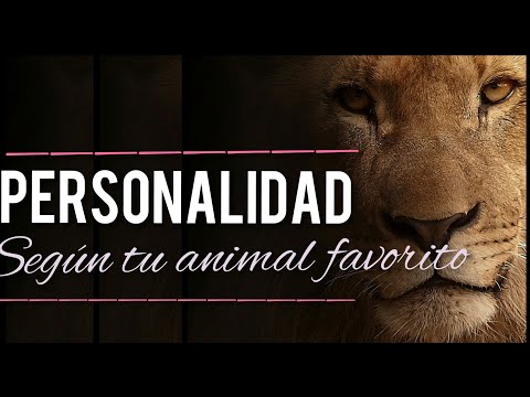 Descubre qué animal te representa según la psicología