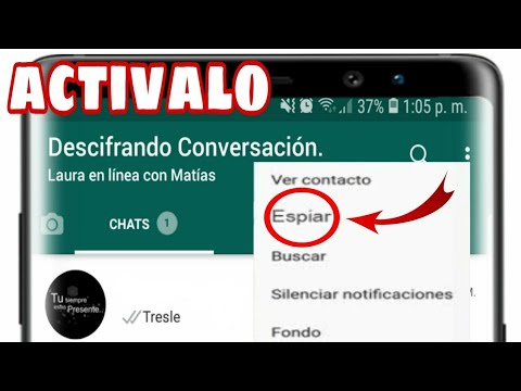 Trucos y consejos para saber si dos personas hablan por WhatsApp